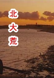 美女大b